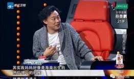 海南卫视爆料视频播放,视频播放背后的惊人真相